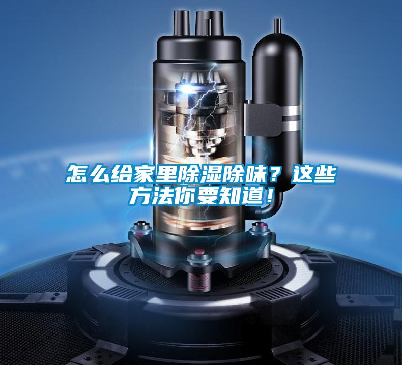 怎么給家里除濕除味？這些方法你要知道！