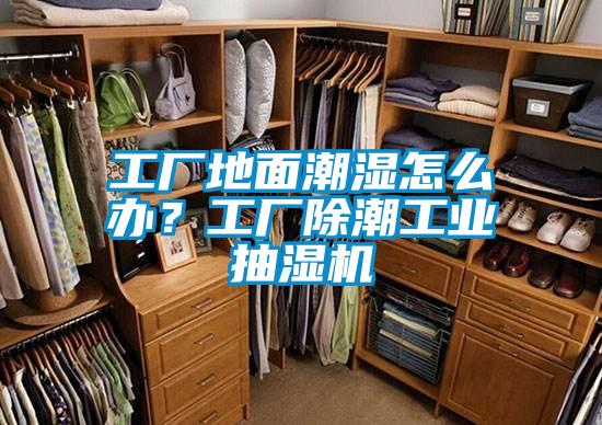 工廠地面潮濕怎么辦？工廠除潮工業(yè)抽濕機