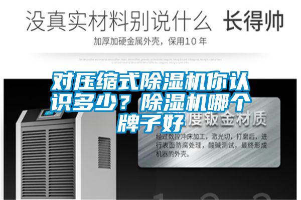 對(duì)壓縮式除濕機(jī)你認(rèn)識(shí)多少？除濕機(jī)哪個(gè)牌子好
