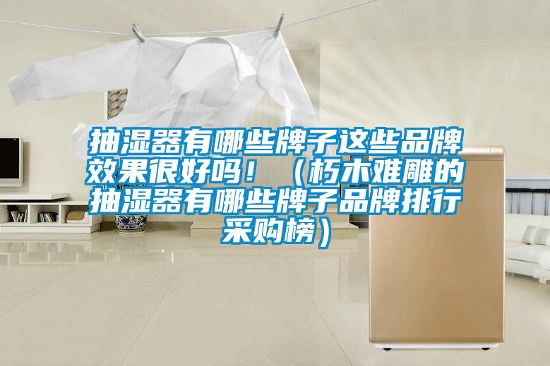 抽濕器有哪些牌子這些品牌效果很好嗎?。ㄐ嗄倦y雕的抽濕器有哪些牌子品牌排行采購榜）