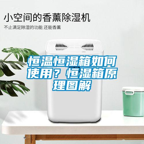 恒溫恒濕箱如何使用？恒濕箱原理圖解