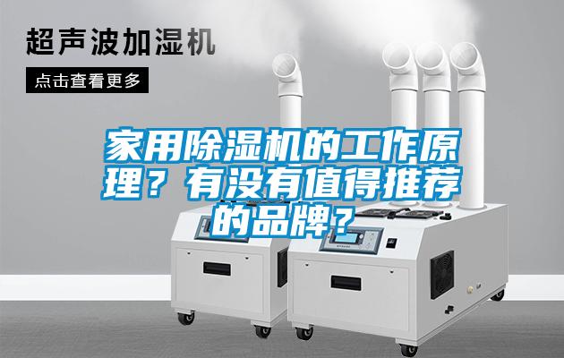 家用除濕機(jī)的工作原理？有沒有值得推薦的品牌？