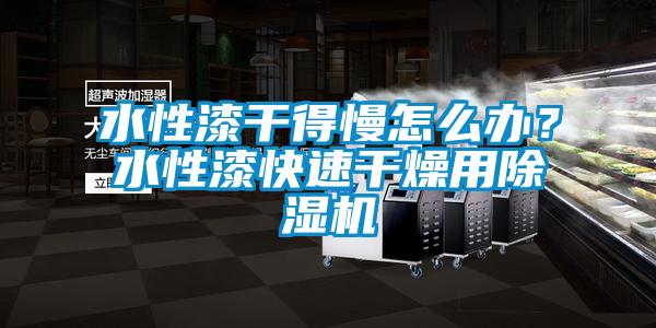 水性漆干得慢怎么辦？水性漆快速干燥用除濕機(jī)