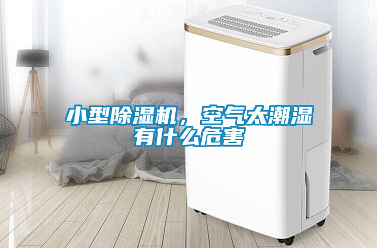 小型除濕機(jī)，空氣太潮濕有什么危害