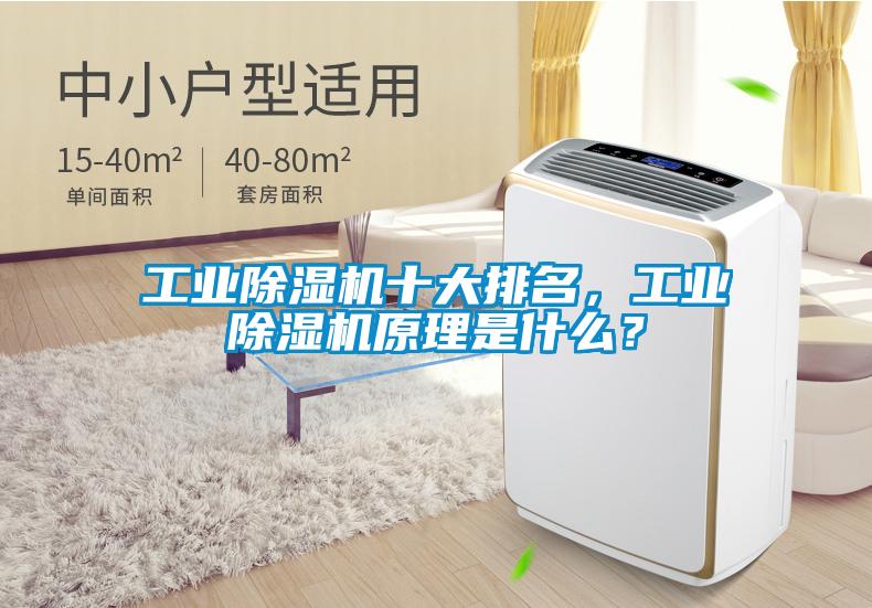 工業(yè)除濕機十大排名，工業(yè)除濕機原理是什么？