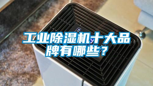 工業(yè)除濕機十大品牌有哪些？