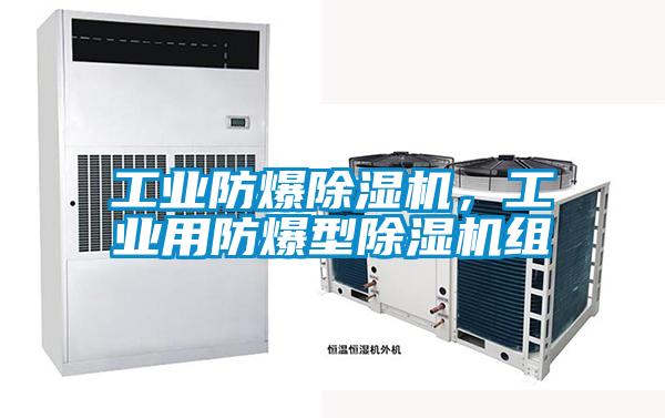 工業(yè)防爆除濕機，工業(yè)用防爆型除濕機組