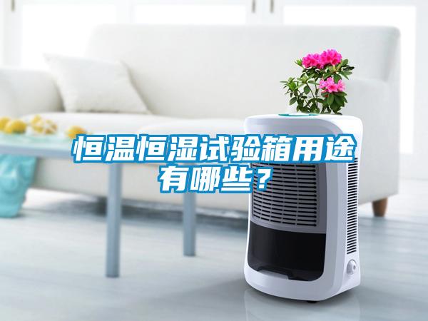 恒溫恒濕試驗(yàn)箱用途有哪些？