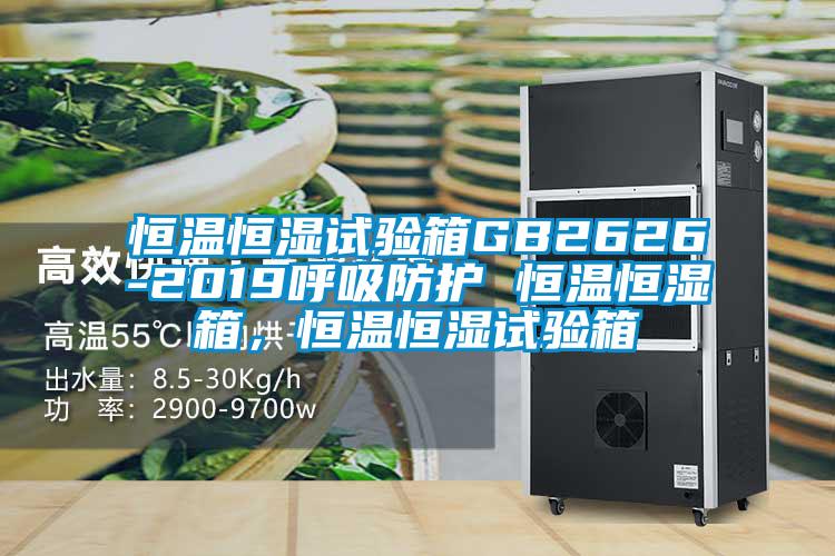 恒溫恒濕試驗(yàn)箱GB2626-2019呼吸防護(hù) 恒溫恒濕箱，恒溫恒濕試驗(yàn)箱