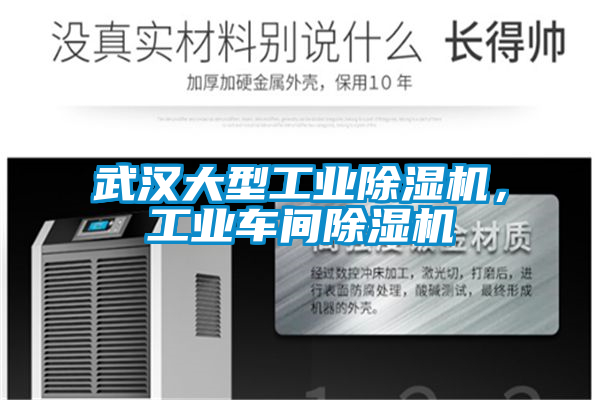 武漢大型工業(yè)除濕機(jī)，工業(yè)車間除濕機(jī)