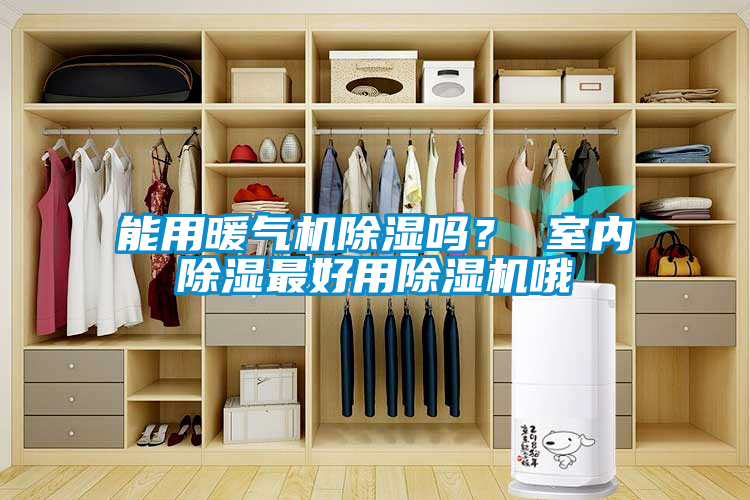 能用暖氣機除濕嗎？ 室內除濕最好用除濕機哦