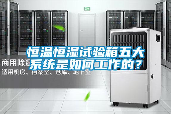 恒溫恒濕試驗(yàn)箱五大系統(tǒng)是如何工作的？