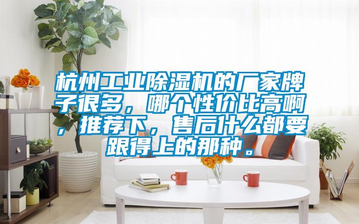 杭州工業(yè)除濕機(jī)的廠家牌子很多，哪個(gè)性價(jià)比高啊，推薦下，售后什么都要跟得上的那種。
