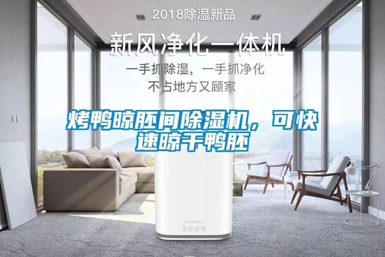 烤鴨晾胚間除濕機，可快速晾干鴨胚