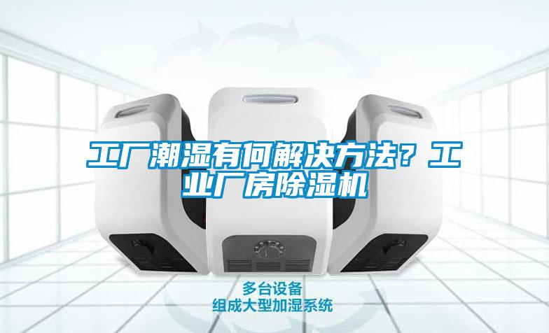 工廠潮濕有何解決方法？工業(yè)廠房除濕機(jī)