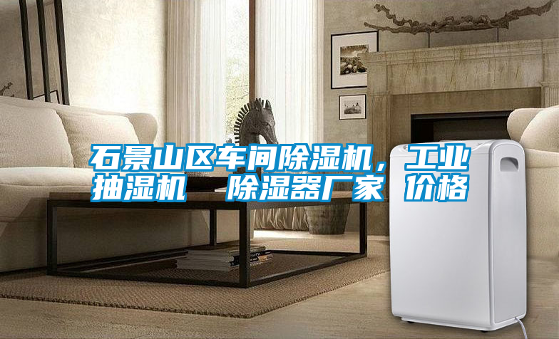 石景山區(qū)車(chē)間除濕機(jī)，工業(yè)抽濕機(jī)  除濕器廠家 價(jià)格
