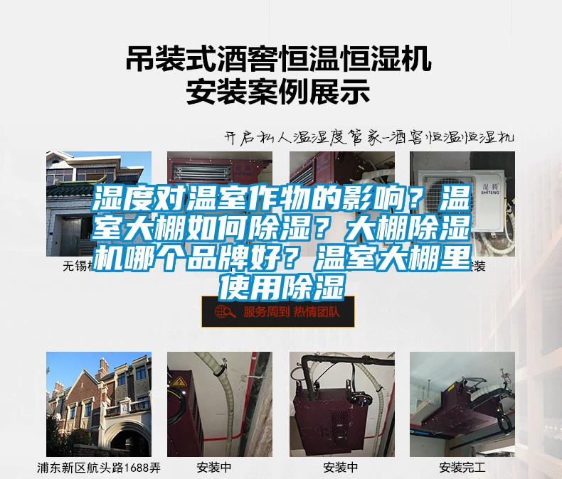 濕度對溫室作物的影響？溫室大棚如何除濕？大棚除濕機哪個品牌好？溫室大棚里使用除濕