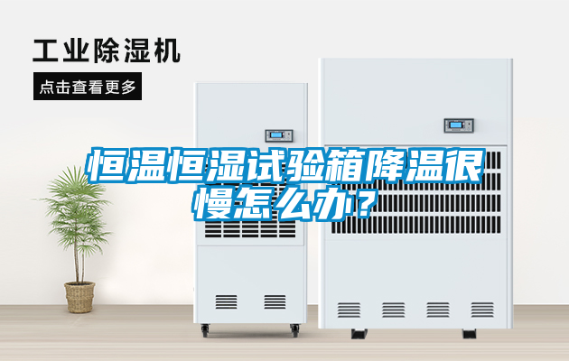 恒溫恒濕試驗箱降溫很慢怎么辦？