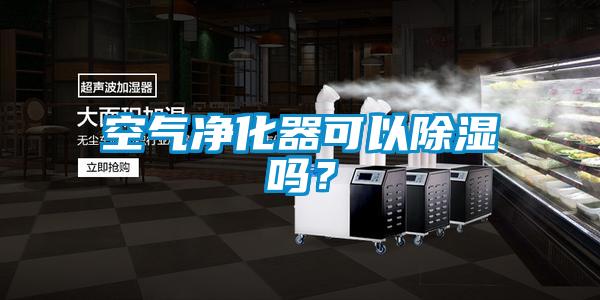空氣凈化器可以除濕嗎？