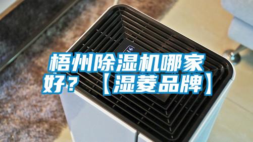 梧州除濕機(jī)哪家好？【濕菱品牌】