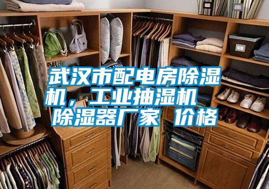 武漢市配電房除濕機(jī)，工業(yè)抽濕機(jī)  除濕器廠家 價(jià)格