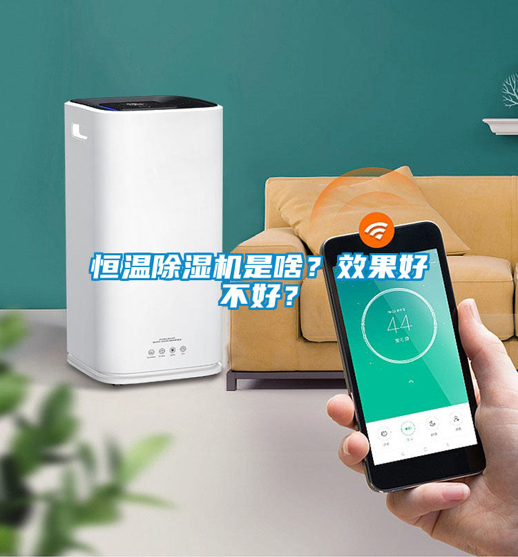 恒溫除濕機是啥？效果好不好？