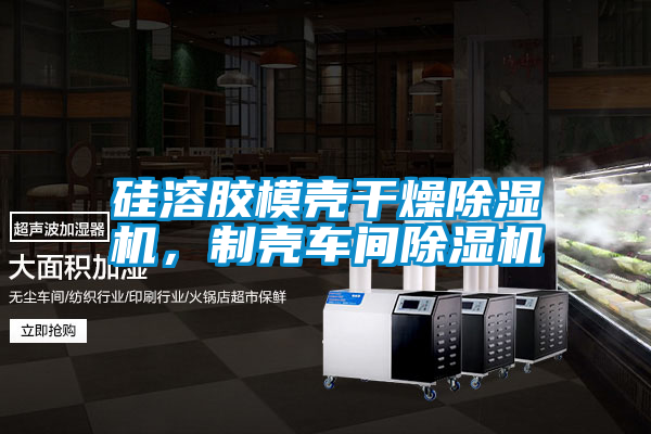 硅溶膠模殼干燥除濕機(jī)，制殼車間除濕機(jī)