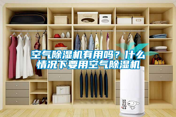 空氣除濕機有用嗎？什么情況下要用空氣除濕機