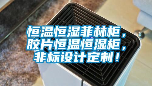 恒溫恒濕菲林柜，膠片恒溫恒濕柜，非標(biāo)設(shè)計(jì)定制！