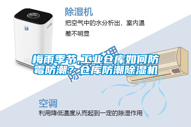 梅雨季節(jié),工業(yè)倉(cāng)庫(kù)如何防霉防潮？倉(cāng)庫(kù)防潮除濕機(jī)