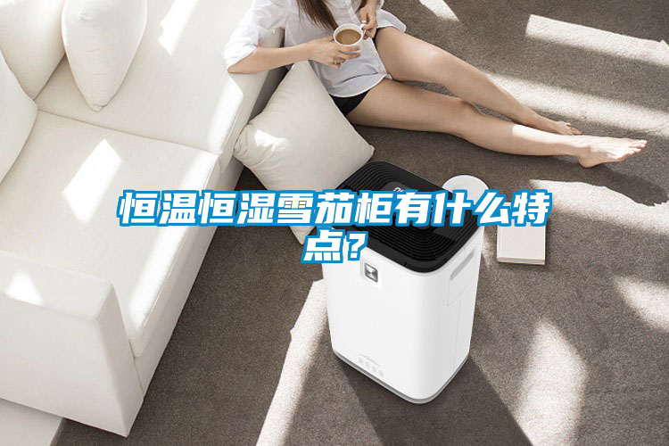 恒溫恒濕雪茄柜有什么特點(diǎn)？