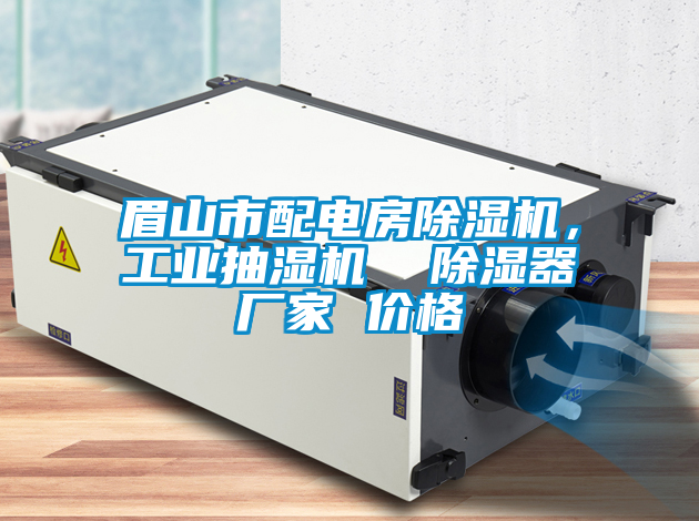 眉山市配電房除濕機，工業(yè)抽濕機  除濕器廠家 價格