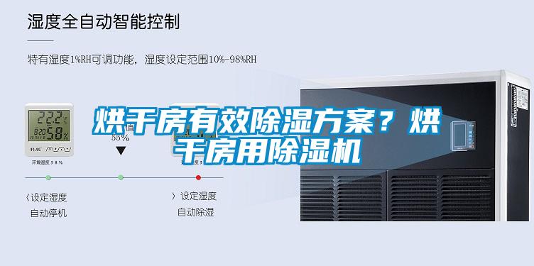 烘干房有效除濕方案？烘干房用除濕機(jī)