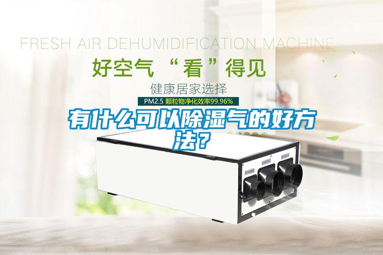 有什么可以除濕氣的好方法？
