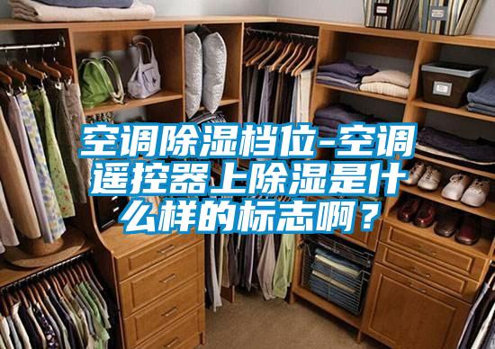 空調(diào)除濕檔位-空調(diào)遙控器上除濕是什么樣的標(biāo)志?。?></div>
								<div   id=