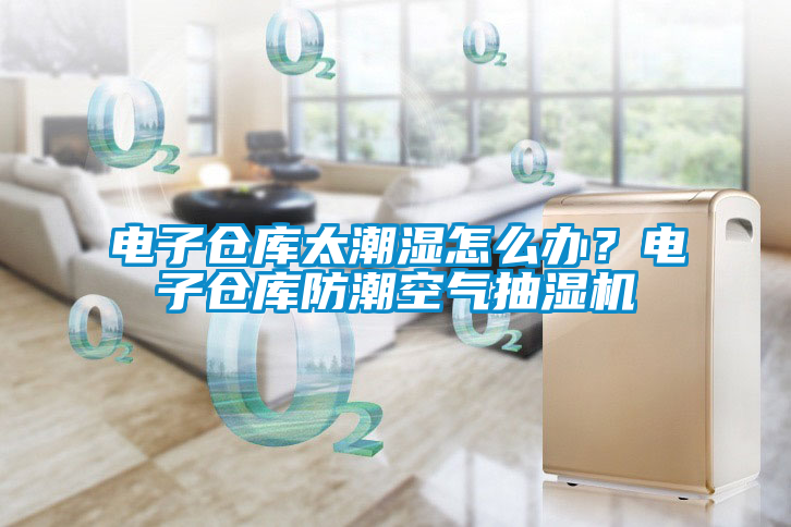 電子倉庫太潮濕怎么辦？電子倉庫防潮空氣抽濕機(jī)