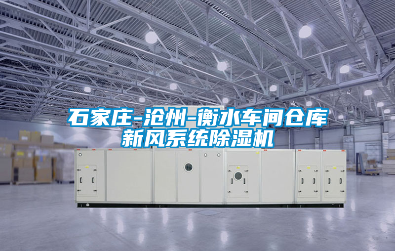 石家莊-滄州-衡水車間倉庫新風(fēng)系統(tǒng)除濕機