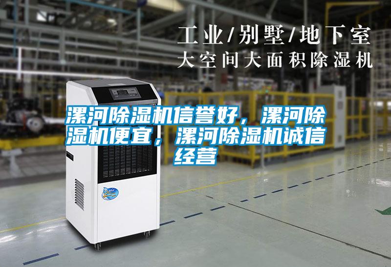 漯河除濕機(jī)信譽(yù)好，漯河除濕機(jī)便宜，漯河除濕機(jī)誠(chéng)信經(jīng)營(yíng)