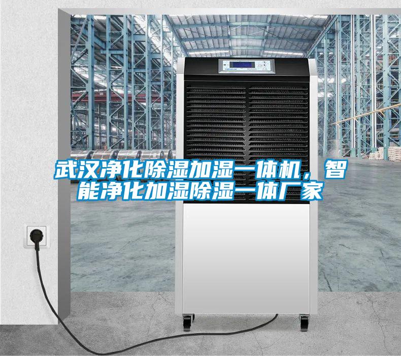 武漢凈化除濕加濕一體機(jī)，智能凈化加濕除濕一體廠家