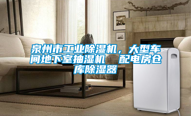 泉州市工業(yè)除濕機(jī)，大型車間地下室抽濕機(jī)  配電房倉庫除濕器