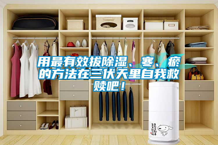 用最有效拔除濕、寒、瘀的方法在三伏天里自我救贖吧！
