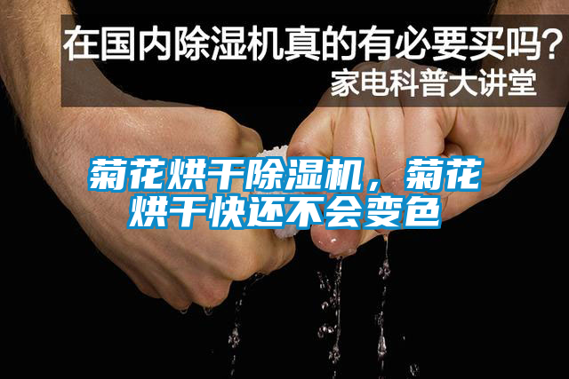 菊花烘干除濕機(jī)，菊花烘干快還不會(huì)變色