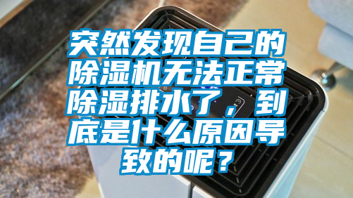 突然發(fā)現(xiàn)自己的除濕機無法正常除濕排水了，到底是什么原因?qū)е碌哪兀?></div>
								<div   id=