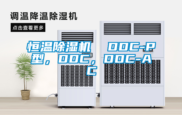 恒溫除濕機(jī)  DDC-P型，DDC，DDC-AC