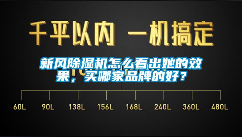 新風(fēng)除濕機(jī)怎么看出她的效果，買哪家品牌的好？