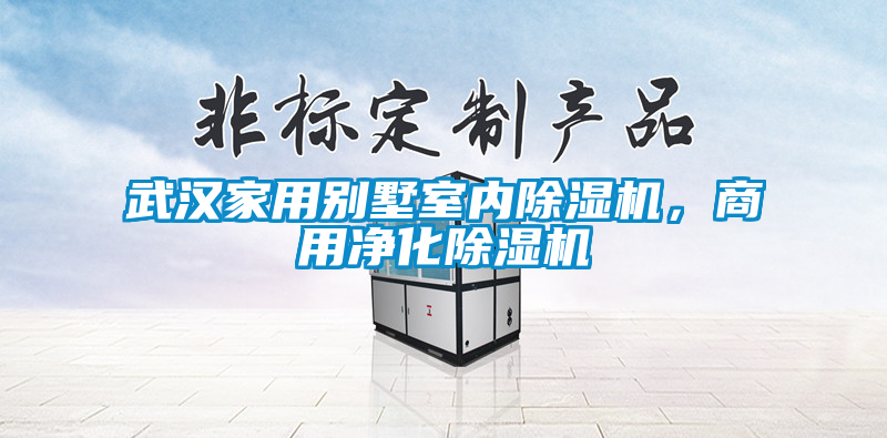 武漢家用別墅室內(nèi)除濕機，商用凈化除濕機