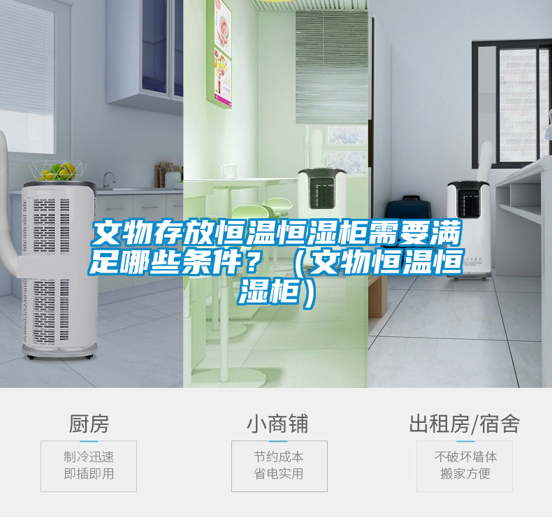 文物存放恒溫恒濕柜需要滿足哪些條件？（文物恒溫恒濕柜）