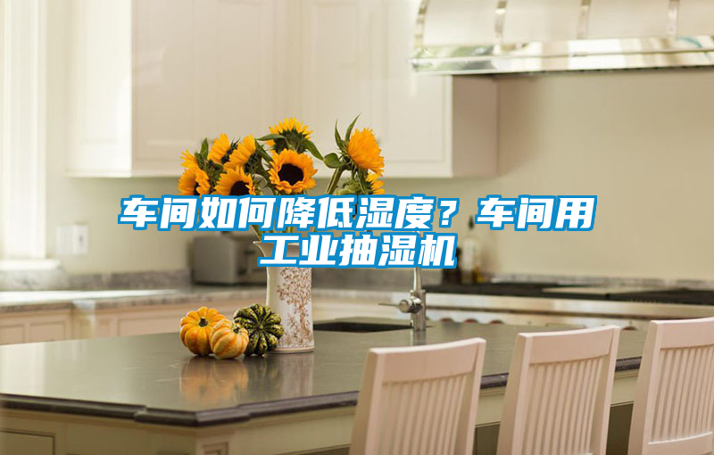車間如何降低濕度？車間用工業(yè)抽濕機