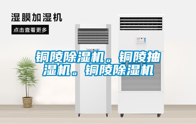 銅陵除濕機。銅陵抽濕機。銅陵除濕機