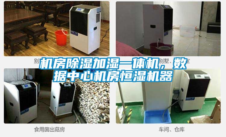 機房除濕加濕一體機，數(shù)據(jù)中心機房恒濕機器